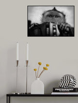 Planet of the apes Poster och Canvastavla
