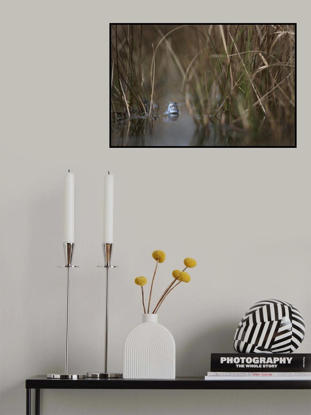 Two frogs Poster och Canvastavla