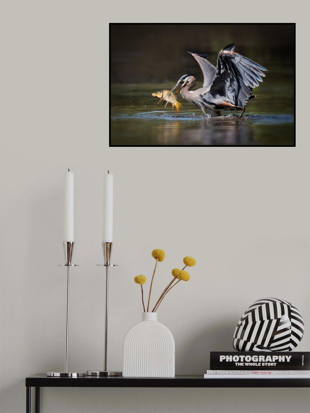 Poster och Canvastavla