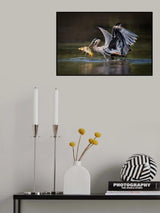 Poster och Canvastavla