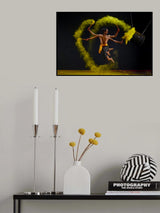 Love Drums Poster och Canvastavla