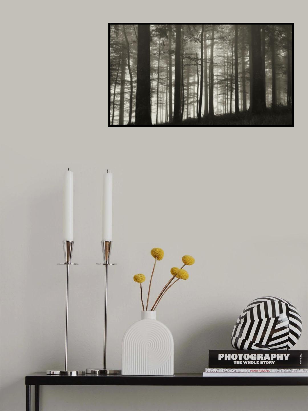 In the wood Poster och Canvastavla