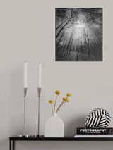 Autumn Dreams... Poster och Canvastavla
