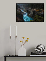 Surprise Poster och Canvastavla