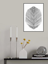 Feather Poster och Canvastavla