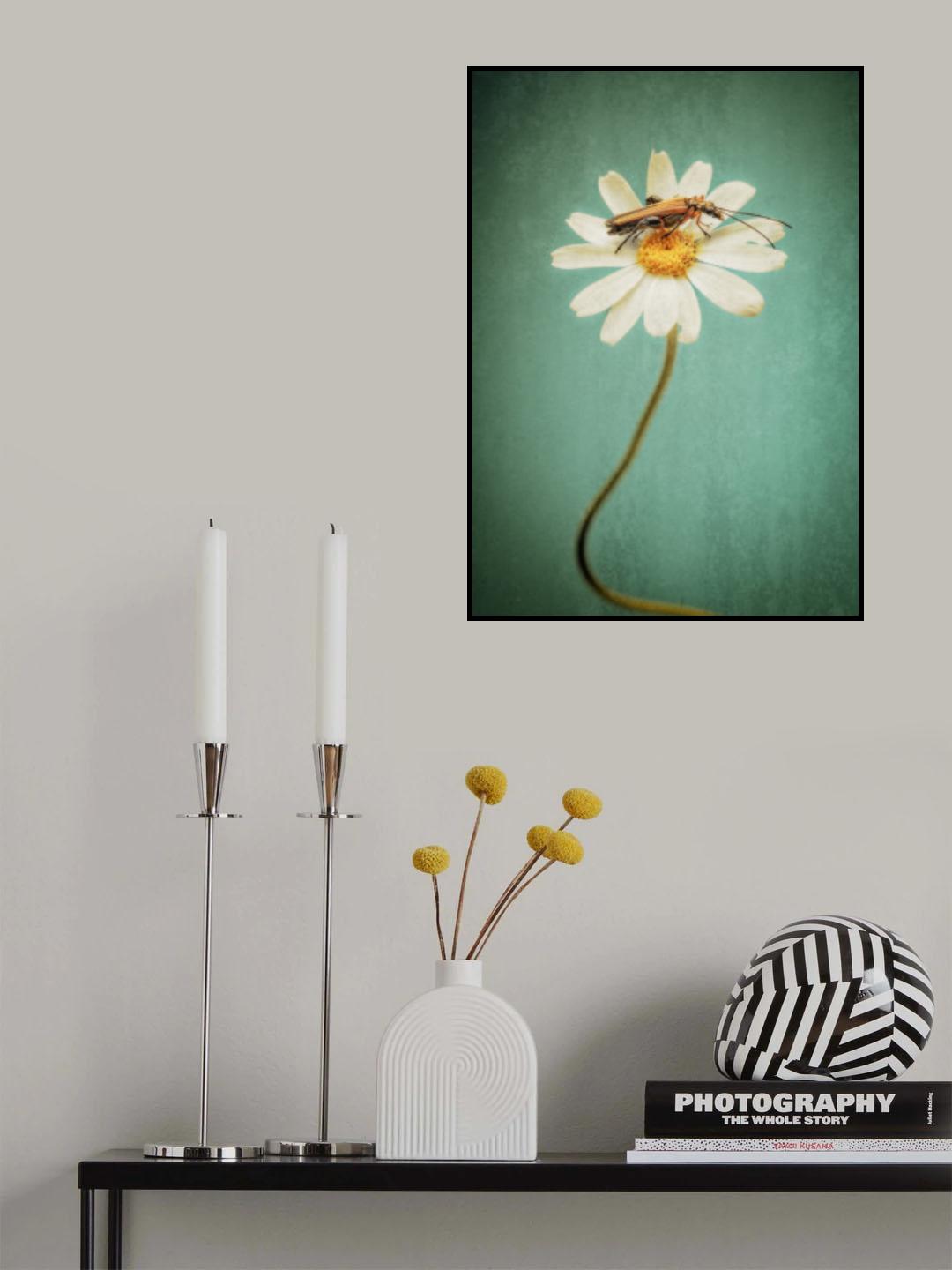 Flower my house Poster och Canvastavla