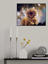Сalling spring Poster och Canvastavla