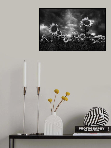 Sunflowers Poster och Canvastavla