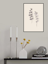 Eucalyptus Twigs Poster och Canvastavla