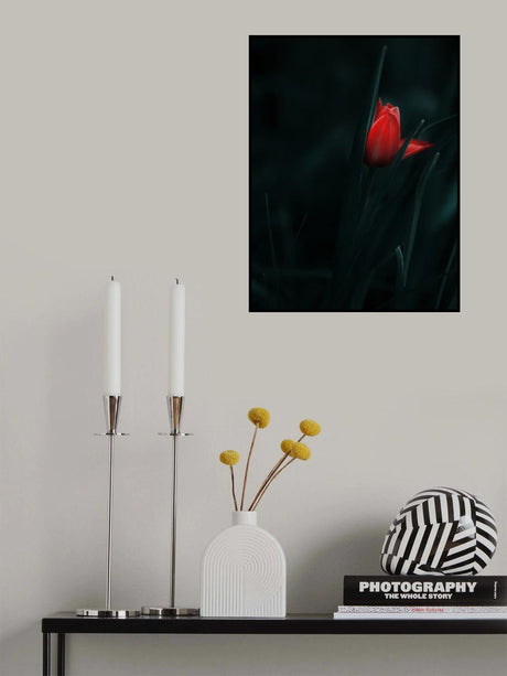 Faclie Poster och Canvastavla