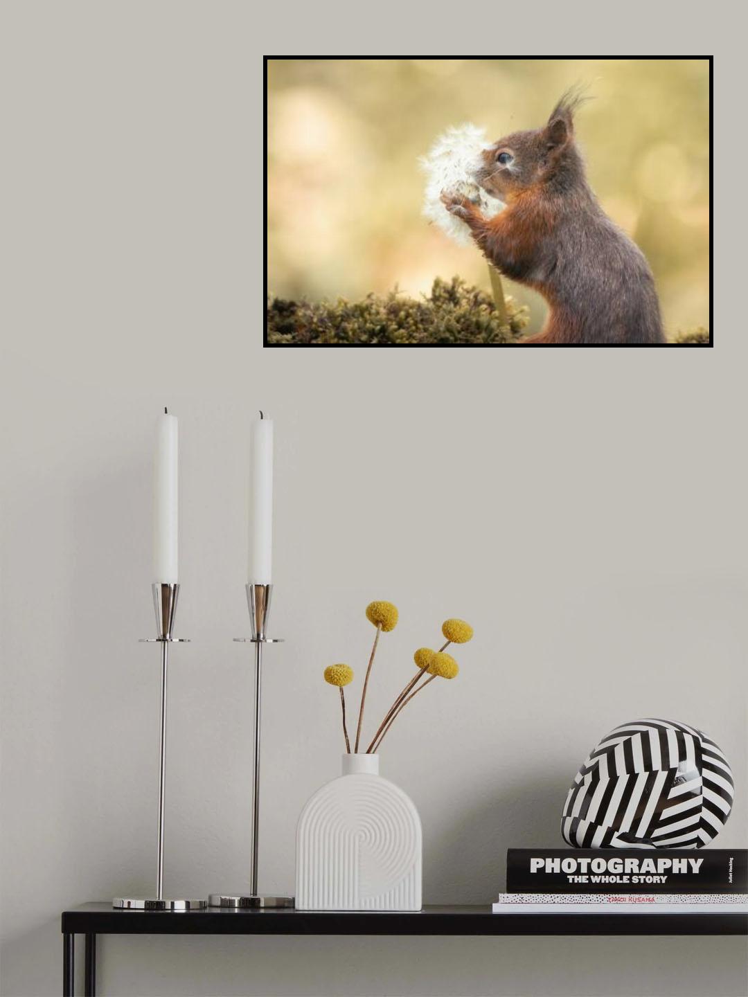 Make Wish Poster och Canvastavla