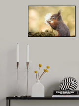 Make Wish Poster och Canvastavla