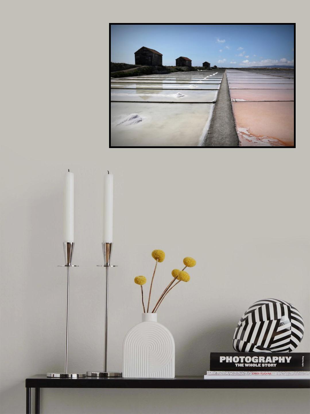 The salt way Poster och Canvastavla