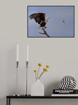 Am I At Wrong Place? Poster och Canvastavla