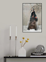Badger with rosehips Poster och Canvastavla