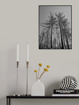 burnt trees and sky background Poster och Canvastavla
