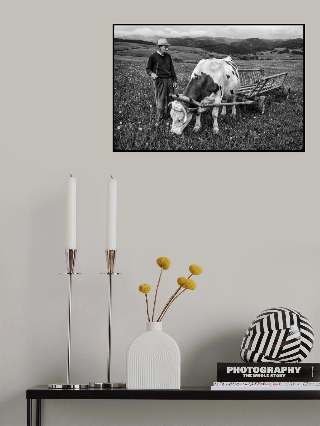 In the field Poster och Canvastavla