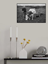 In the field Poster och Canvastavla