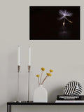 Ballet Poster och Canvastavla