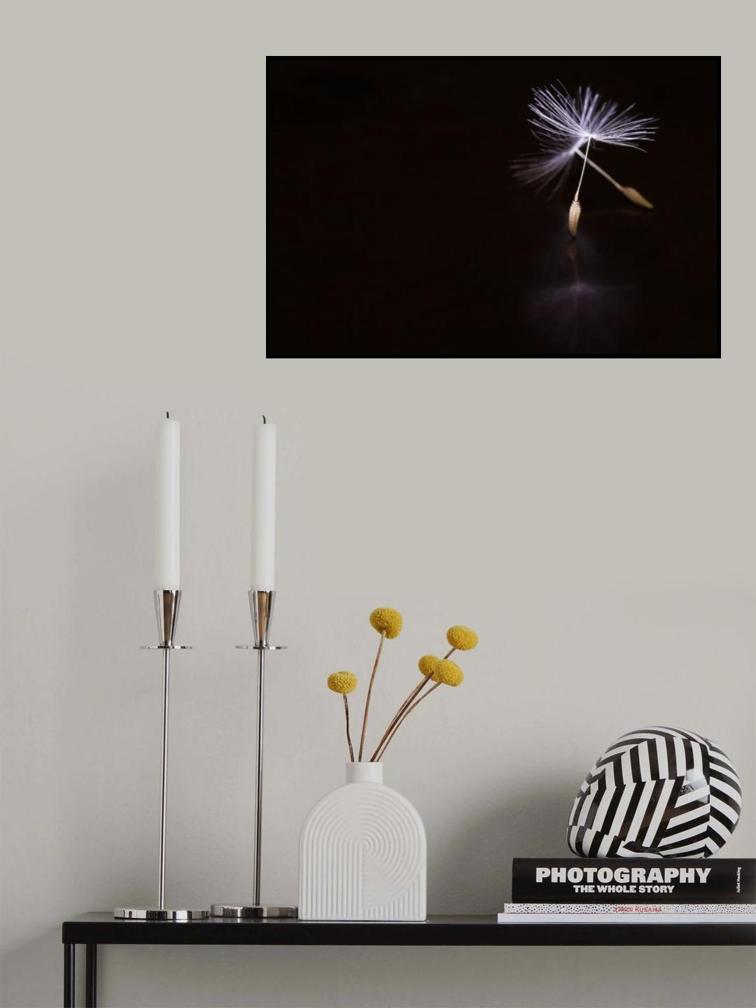 Ballet Poster och Canvastavla
