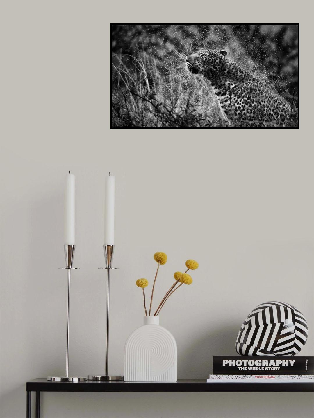 Splashed Poster och Canvastavla