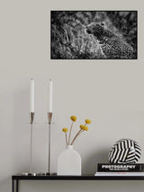 Splashed Poster och Canvastavla