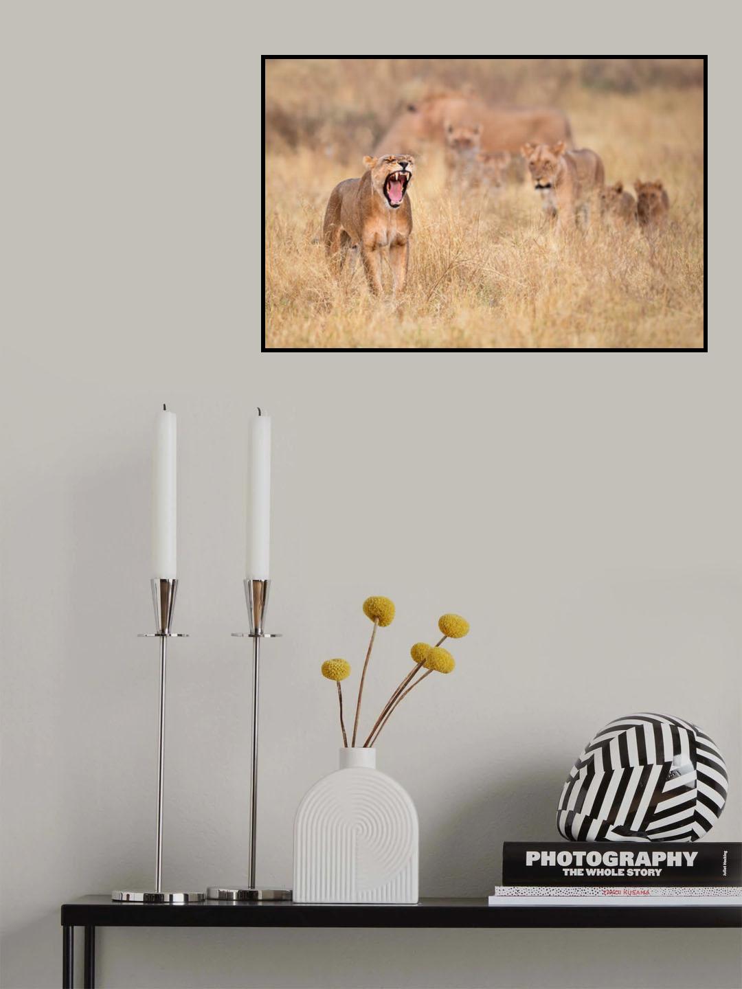 Roar!! Poster och Canvastavla