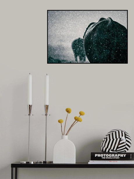 Rainy season Poster och Canvastavla