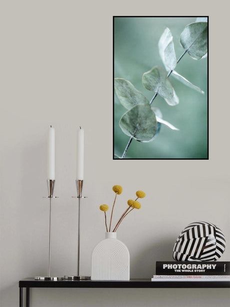 Eucalyptus 9 Poster och Canvastavla