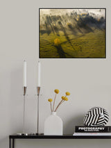 B U C O V I N A Poster och Canvastavla