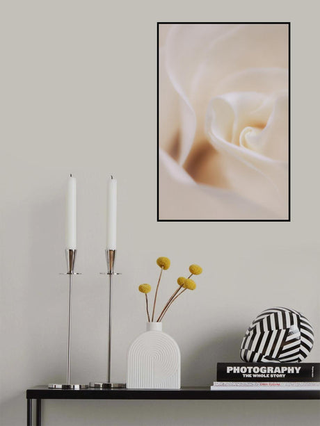 Soft Dreamy White Rose Poster och Canvastavla