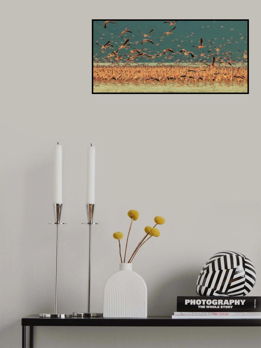 Gathering in Golden Light Poster och Canvastavla