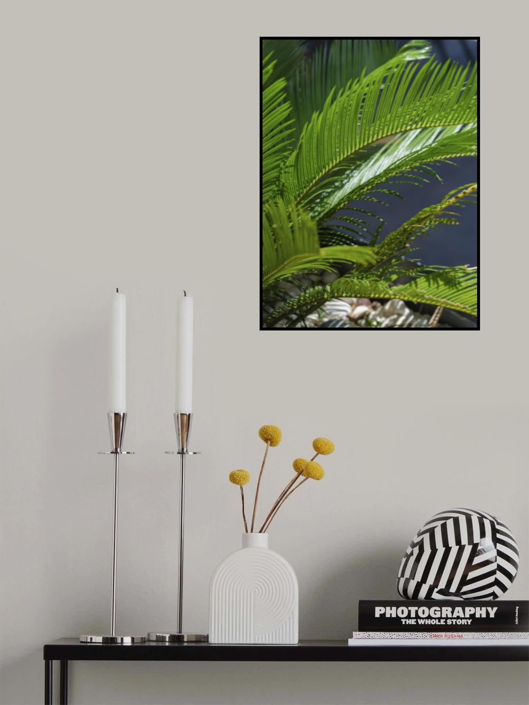 palm leaf Poster och Canvastavla