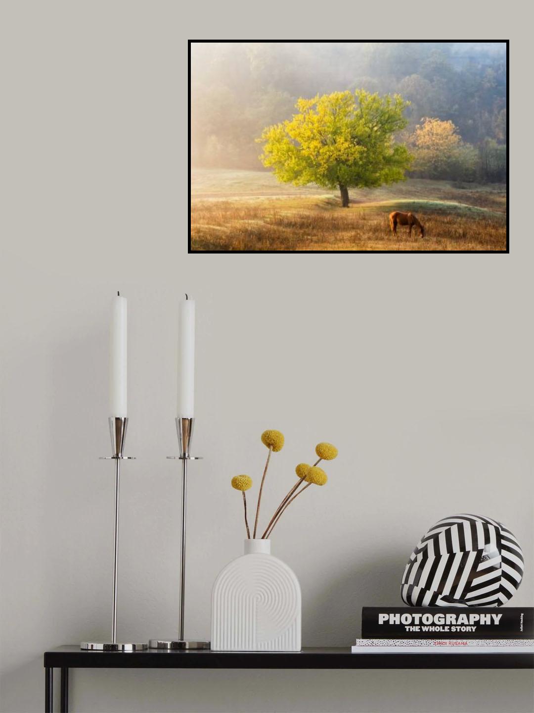 Tree of Life Poster och Canvastavla