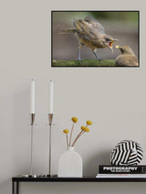 Feed Me! Poster och Canvastavla
