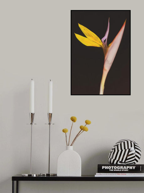 Regina Poster och Canvastavla