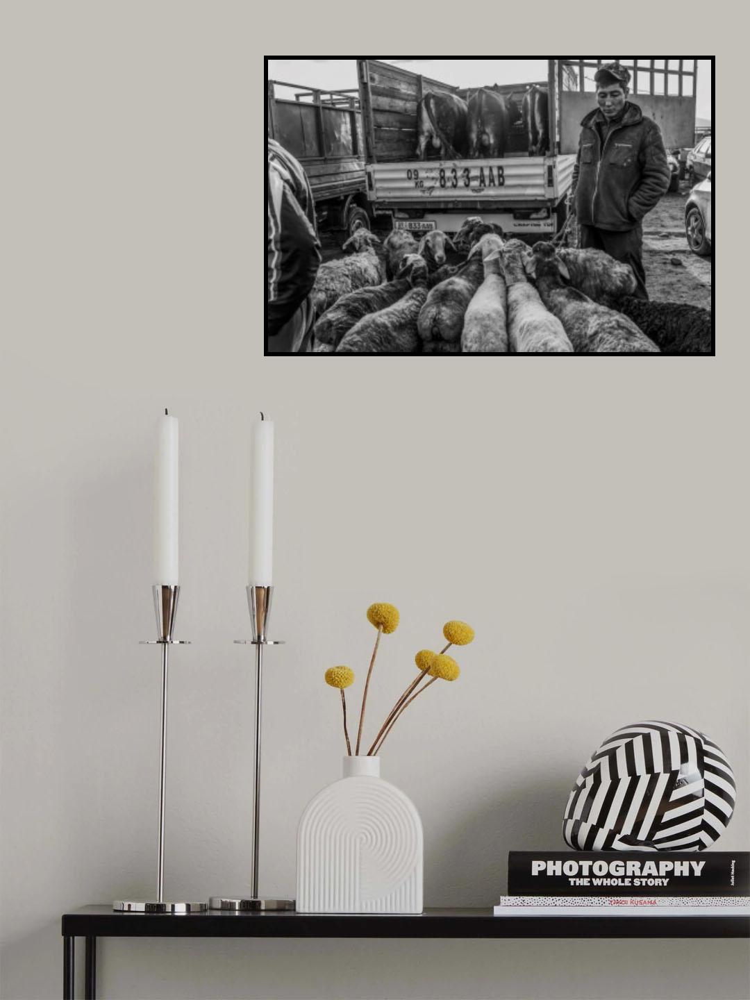 Animal market 3 Poster och Canvastavla