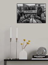 Animal market 3 Poster och Canvastavla