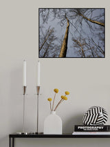 burnt trees and sky background Poster och Canvastavla