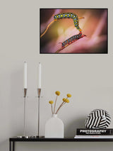 The meeting Poster och Canvastavla