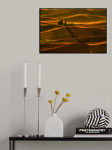 Sunlight over golden hills Poster och Canvastavla