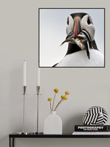 Fishes For The Pufflings. Poster och Canvastavla