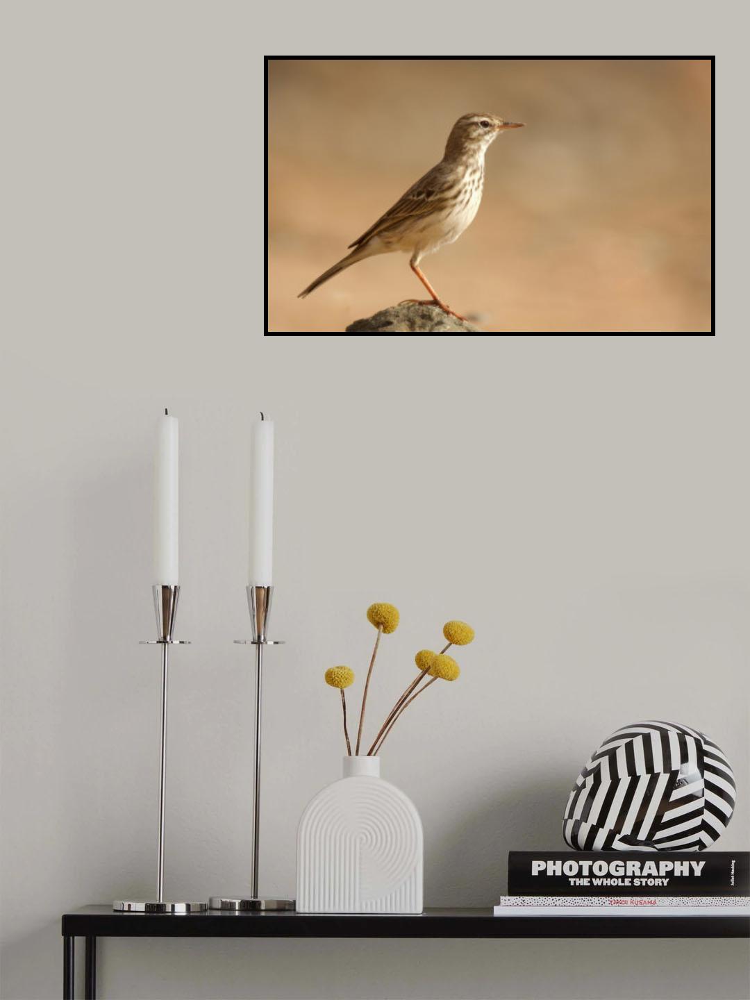 bisbita Poster och Canvastavla