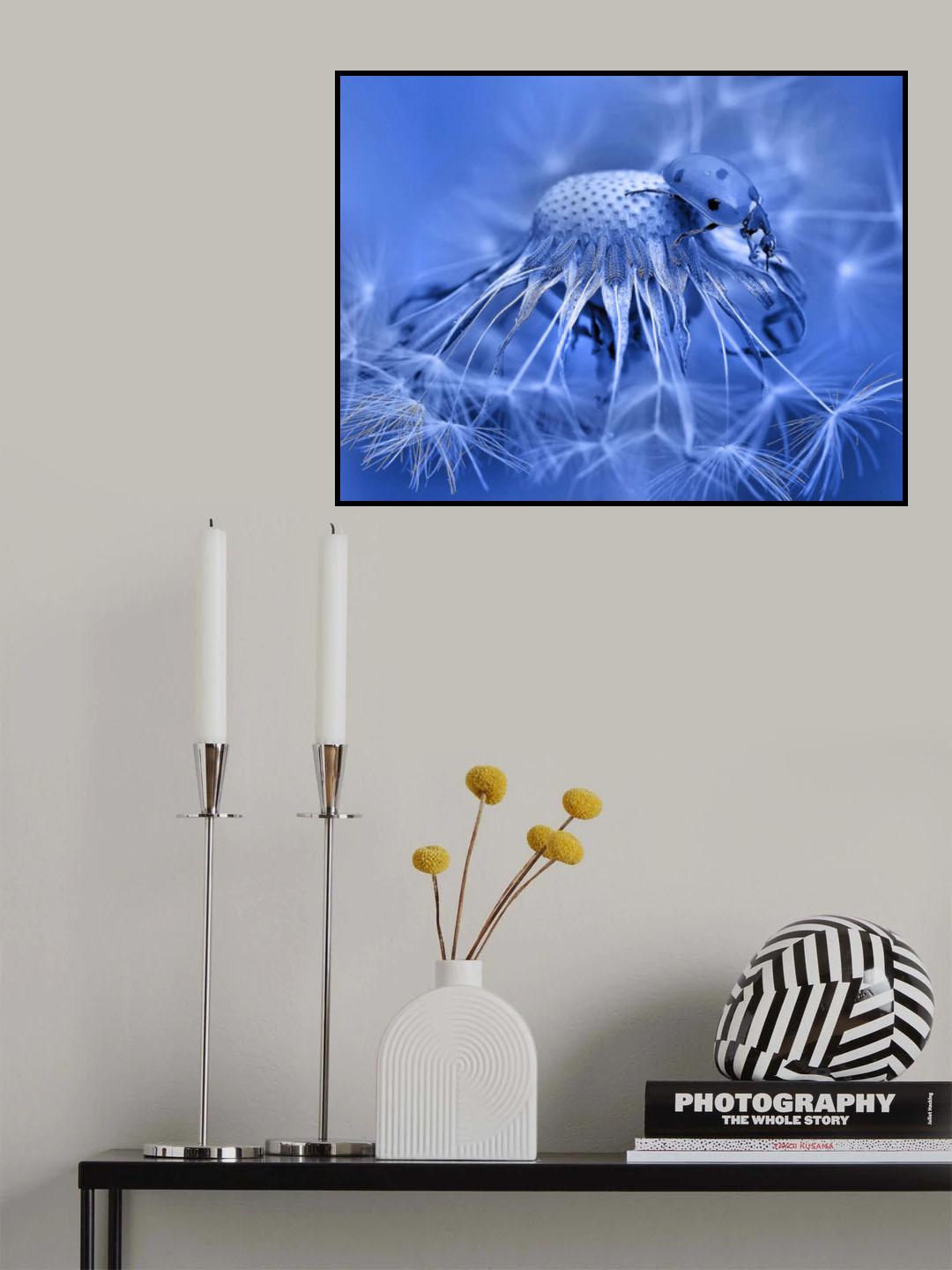 In the stars... Poster och Canvastavla