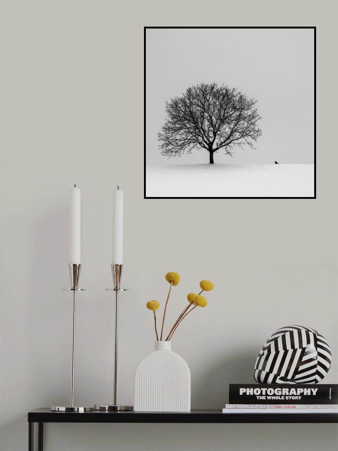 the black bird Poster och Canvastavla