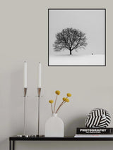 the black bird Poster och Canvastavla