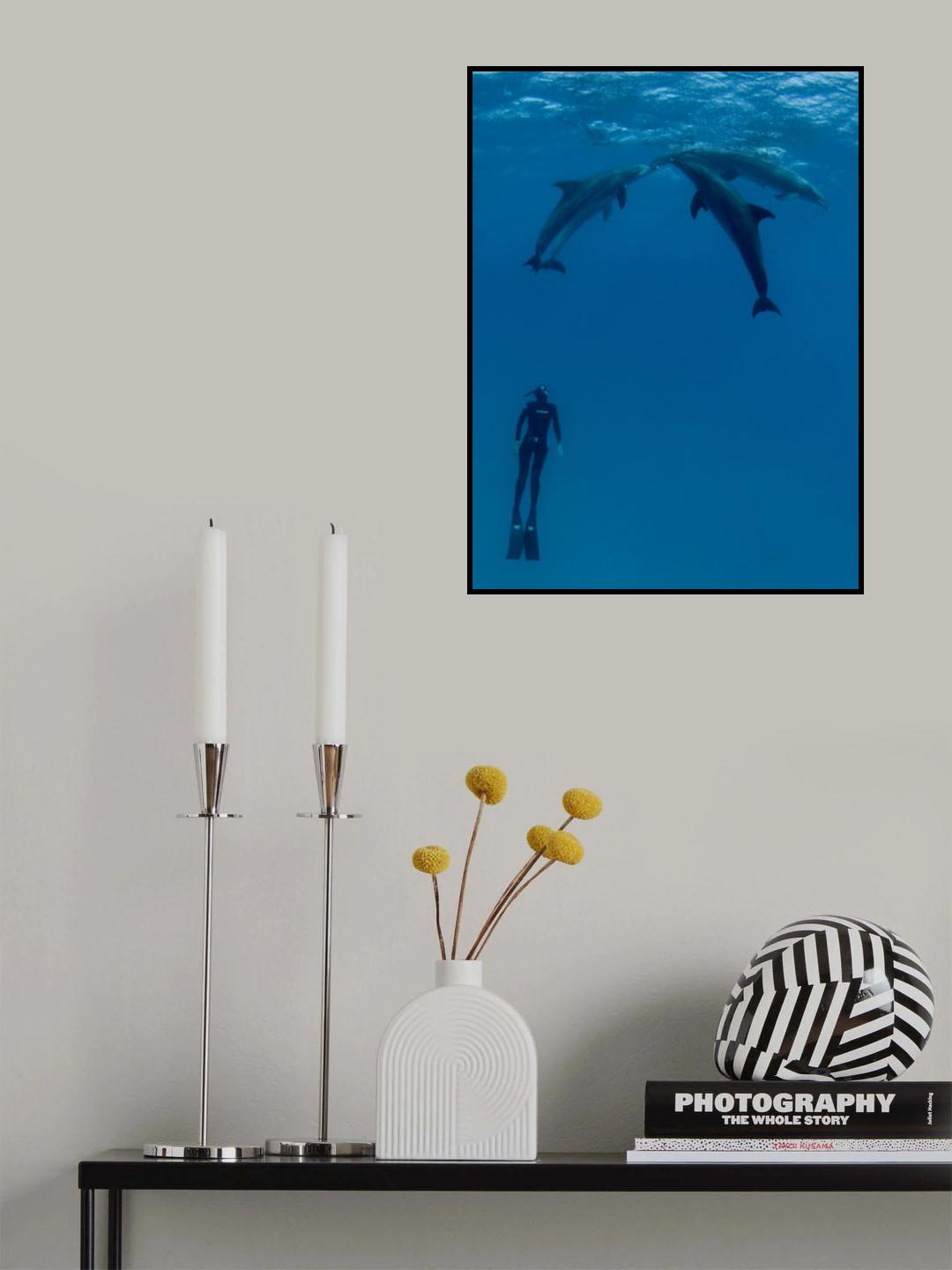 Dolphins and the woman 2 Poster och Canvastavla