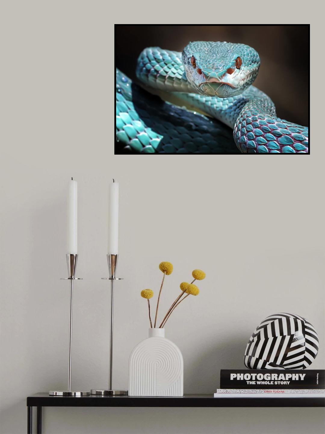Sharp Look of Blue Insularis Viper Snake Poster och Canvastavla