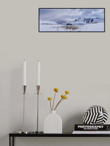 Penguins Camp Poster och Canvastavla