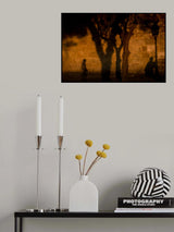 All we are just shadows Poster och Canvastavla